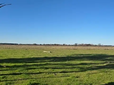 RUTA 2 100