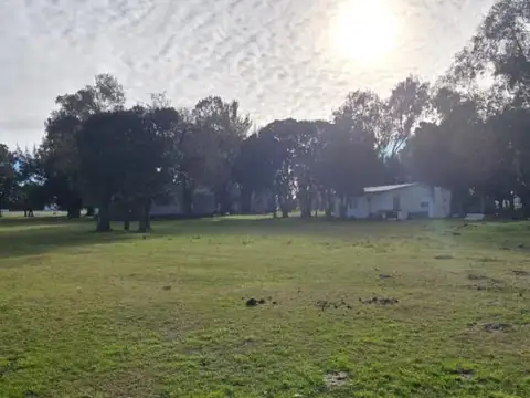 VENTA CAMPO MIXTO DE 502 HECTÁREAS CON CASCO DE ESTANCIA - BRANDSEN