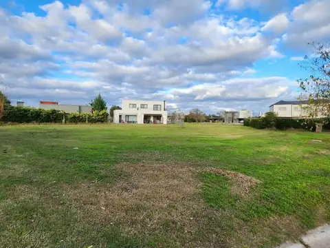 Libertad 310