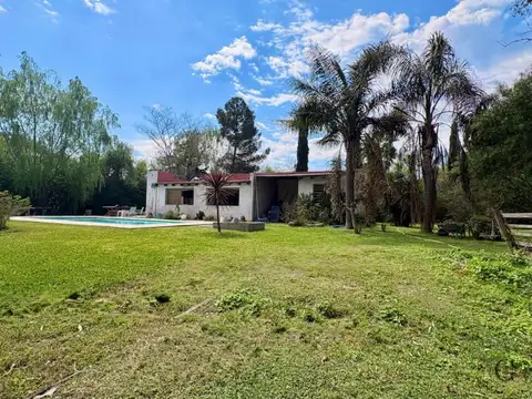 Jacaranda 1300