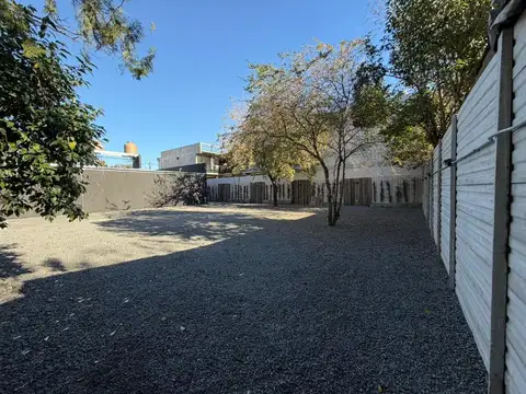 Juan Leon Palliere 100