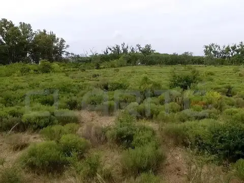 Autopista Lujan-junin
