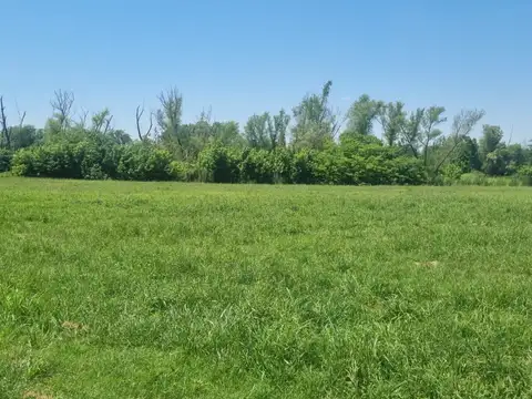 Bs As Golf Country Club, Mayor Irusta  al 3700