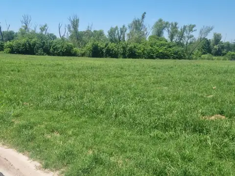 Terreno en Venta de 1017,0 m2