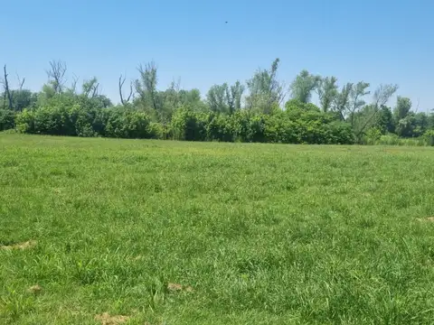 Terreno en Bella Vista