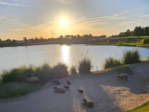 Terreno en Venta 39  mts Fondo