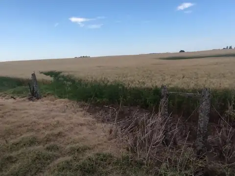 Campo agrícola a 5 km Ruta 65