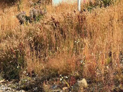 Terreno en Venta de 600,0 m2