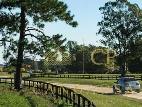 Terreno en Venta de 18017,0 m2