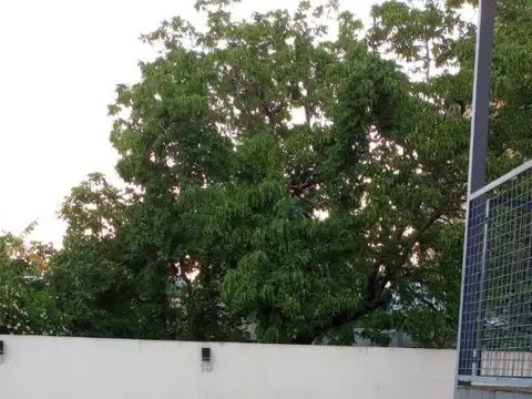 62 E/1 Y 2