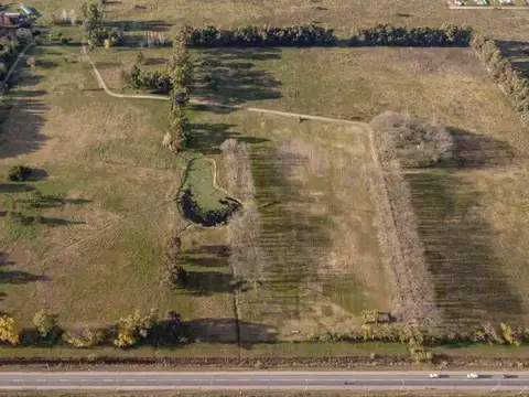 HECTAREAS EN VENTA AV RIVADAVIA SAN VICENTE