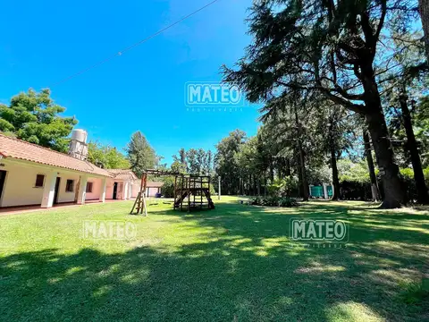 Bermejo 800