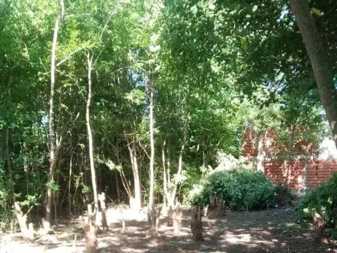 Terreno en Venta de 370,0 m2