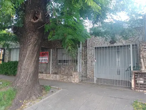 Barabino 915