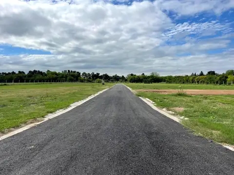 Terreno en Venta 42  mts Fondo