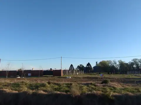 Grito de Alcorta 100