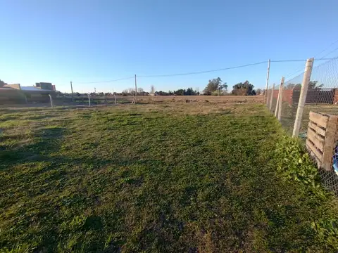 Grito de Alcorta 100