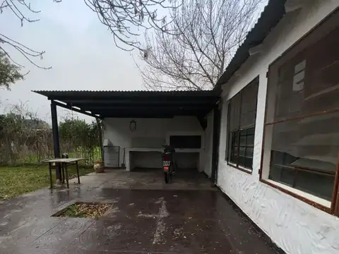 los Albatros 100