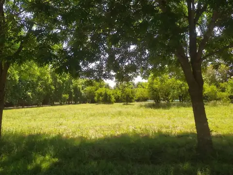 Lotes en venta 1B31 & 1B38 Estancia Villa María - Los Álamos