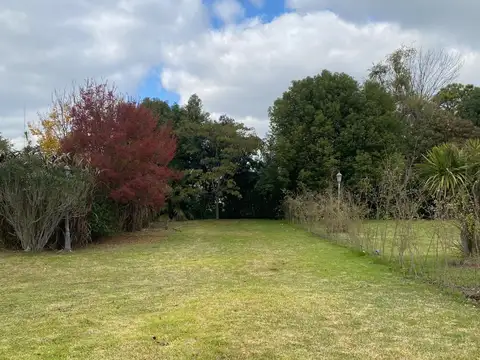 Terreno en Venta de 299,0 m2