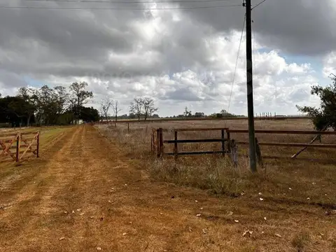 Terreno en Venta de 800,0 m2