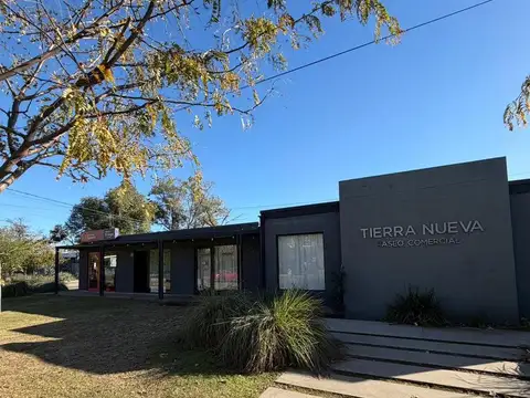 Ugarteche al 100