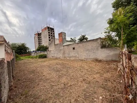 La Rioja 300