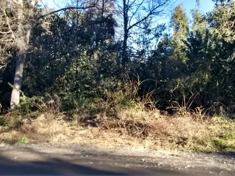 Rio Minero 124