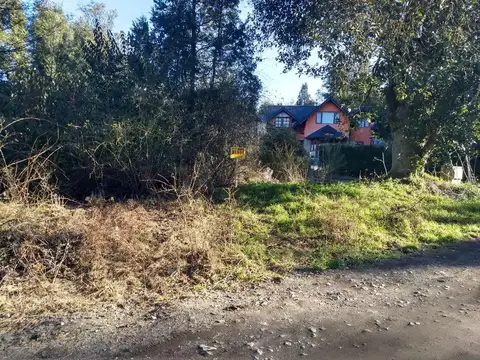 Rio Minero 100