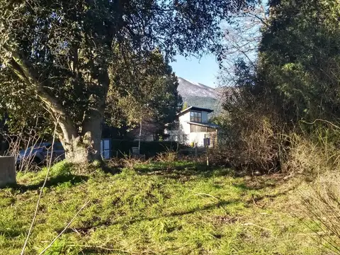rio minero