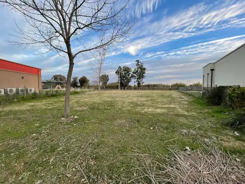 Terreno en Venta 38  mts Fondo