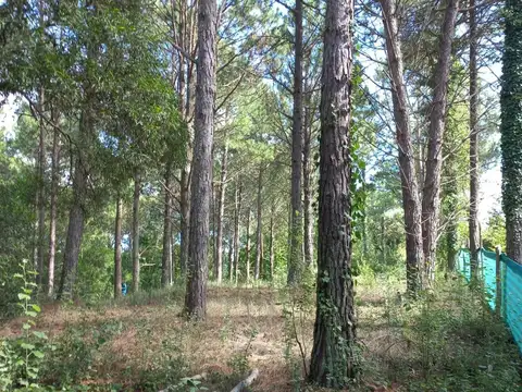 VENTA LOTE CON PROYECTO APROBADO EN CARILÓ