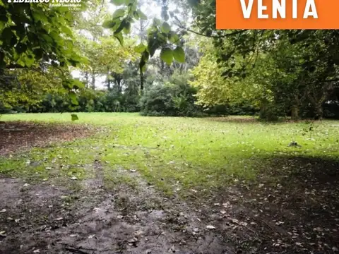Terreno - Venta - Argentina, Muñiz - Constitucion 1110
