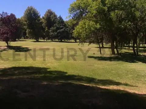 VENTA TERRENO NEUQUEN. ARROYITO COUNTRY GOLF RUTA 237.