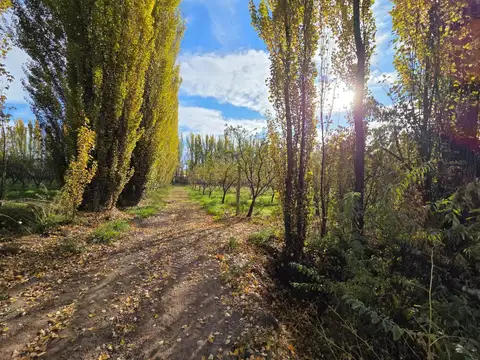 VENTA DE CHACRA - FRENTE A RUTA 151 - SGTO. VIDAL