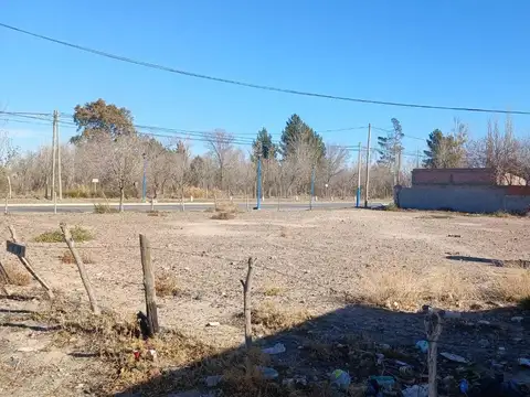 Terreno en Venta en General Roca, USD 45.000