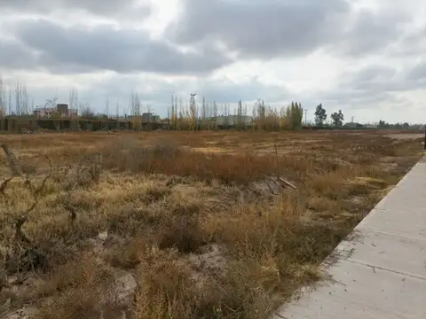 Terreno en Venta de 1000,0 m2