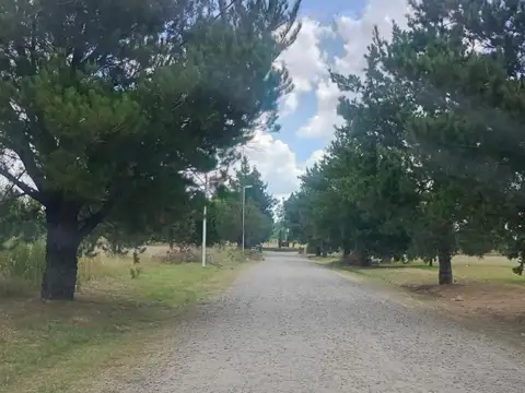 Quinta en Venta de 4 dormitorios