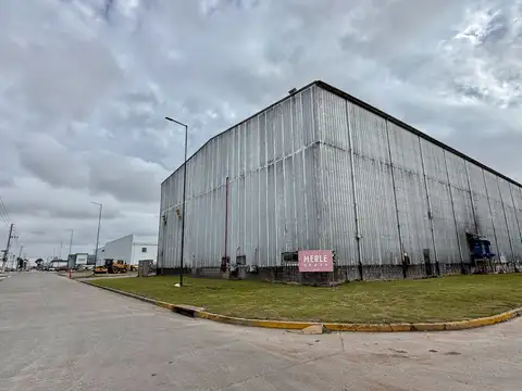 CALLE 1236 900