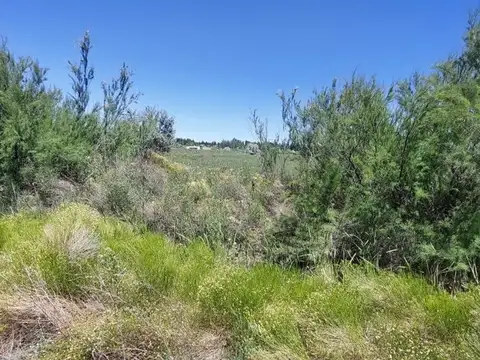 Terreno en Venta en Cervantes, USD 115.000