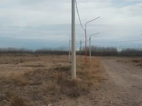 VENTA TERRENO 261 M2 FRENTE RUTA | VISTA ALEGRE