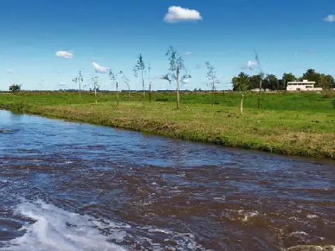 Terreno en Venta en Campos De La Enriqueta, USD 13.900