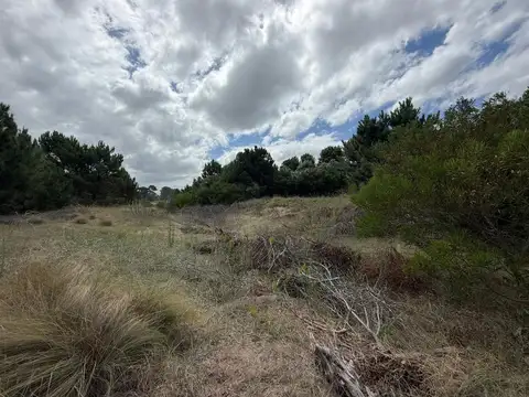 Ruta 11 km 380