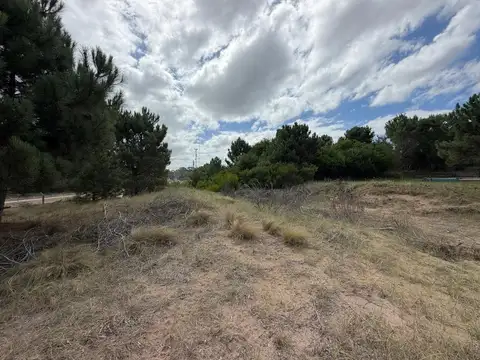 Terreno en Venta de 1000,0 m2