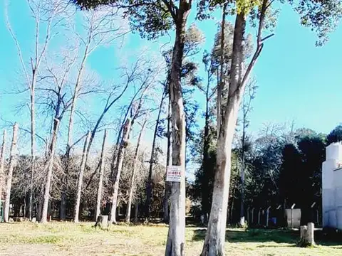 Terreno en Venta 20  mts Frente