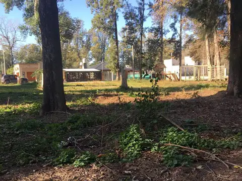 Terreno en Venta de 800,0 m2