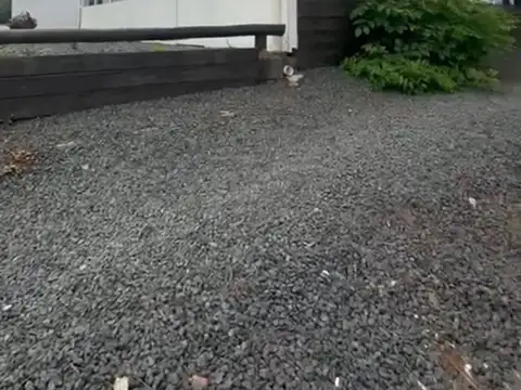 Alquiler local comercial gastronómico en Pando