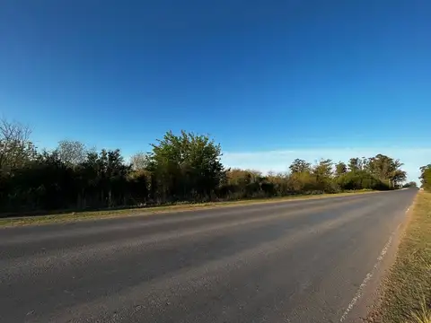 Vendo Campo de 4,6 hectáreas en Concepción del Uruguay, Entre Ríos.