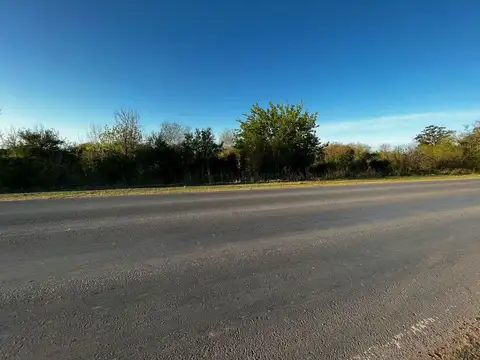 Vendo Campo de 4,6 hectáreas en Concepción del Uruguay, Entre Ríos.