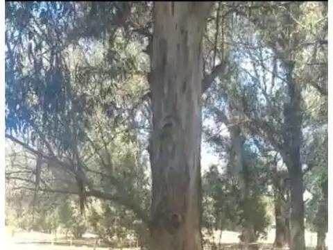 Terreno en Venta en Necochea, Partido de Necochea